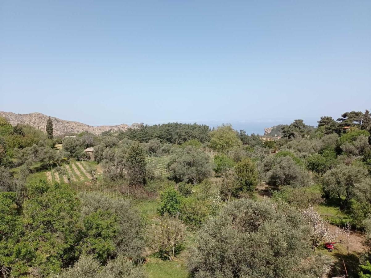 Christos Center Rooms Ράχες Εξωτερικό φωτογραφία
